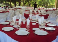 /album/may-eventos/a1271954531-89389614-4-matrimonios-eventos-sociales-y-empresariales-alta-banqueteria-servicios-1271954531-jpg2/